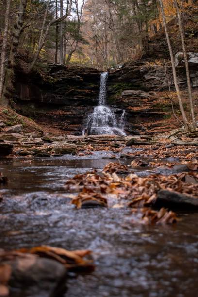 istock Low-angle view of the small waterfall in the forest 1436631789