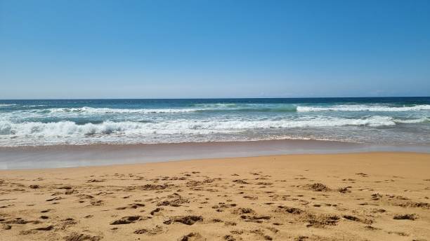 istock Beautiful view of a sandy shore 1436632501