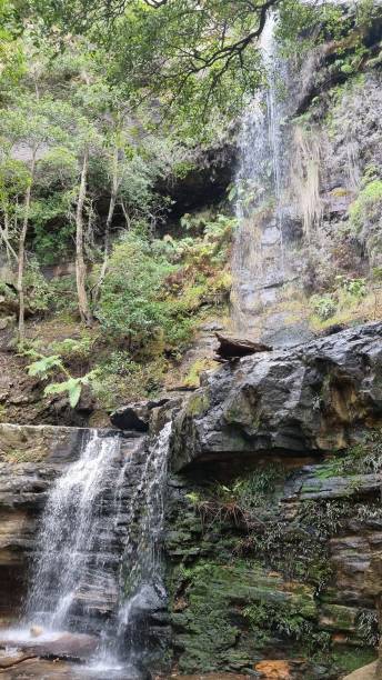 istock Vertical shot of a waterfall in a forest 1436632646