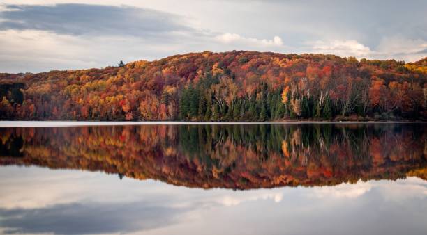 istock Algonquin Provincial Park, Canada with reflections of autumn trees in a lake 1436633210