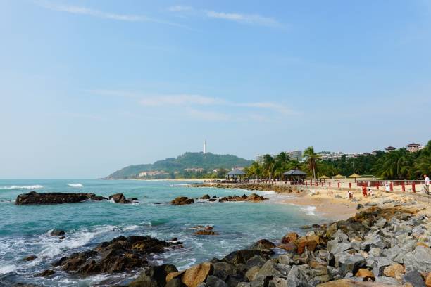 istock Landscape view of a beautiful beach and palm trees 1436633225