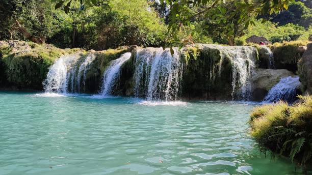 istock Beautiful landscape of a waterfall in the woods 1436633551