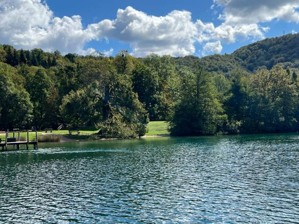 istock Green forest trees surrounding a lake captured on a sunny day 1436633766