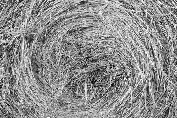 A grayscale shot of hay for backgrounds