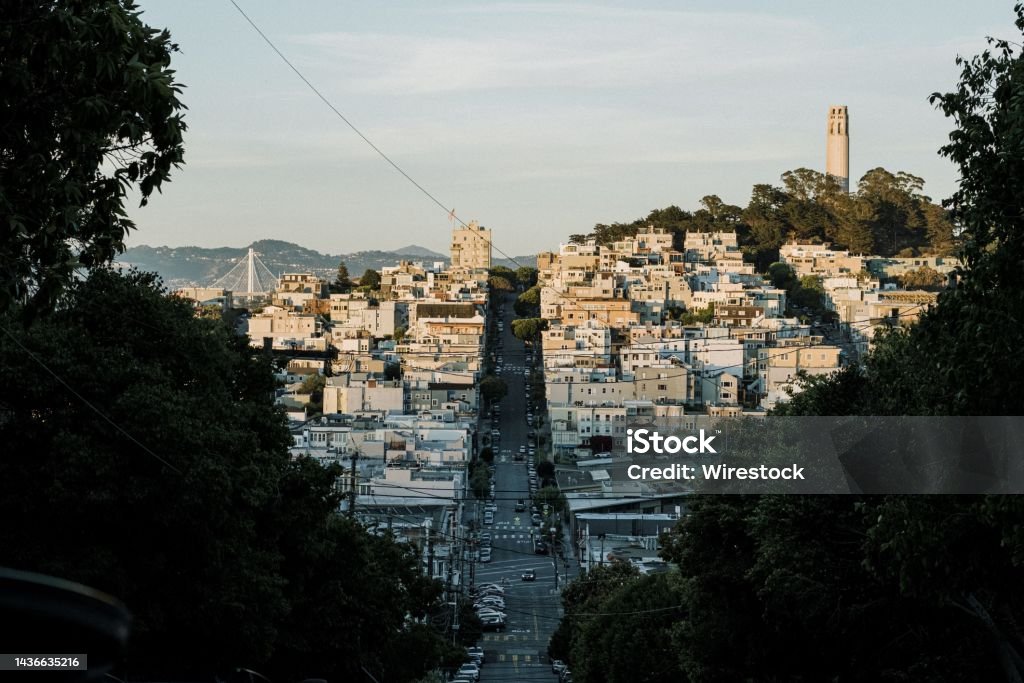 Beautiful view of residential area in San Francisco, California A beautiful view of residential area in San Francisco, California Coit Tower Stock Photo