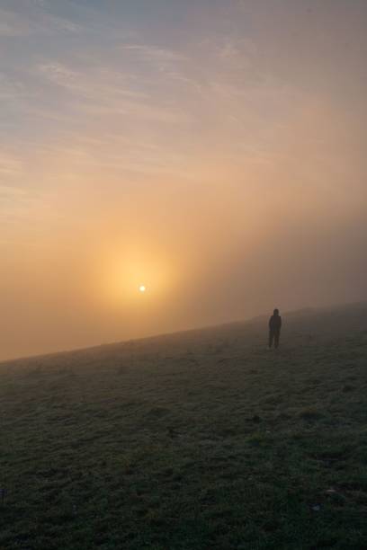 istock Silhouette of boy standing on field during sunrise 1436635263