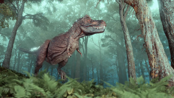 istock Tyrannosaurus in the forest. 1436635732