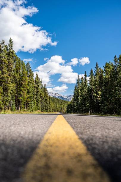 istock Vertical shot of an empty road between trees 1436640560