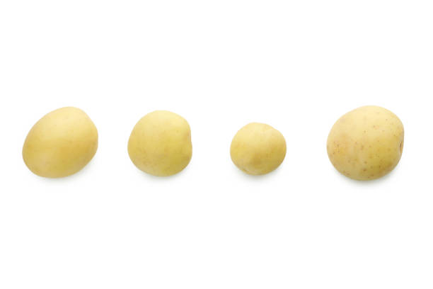 istock Tasty young potato isolated on white background 1436640846
