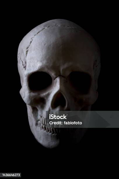 Teschio Stock Photo - Download Image Now - Dead, Death, Anatomy