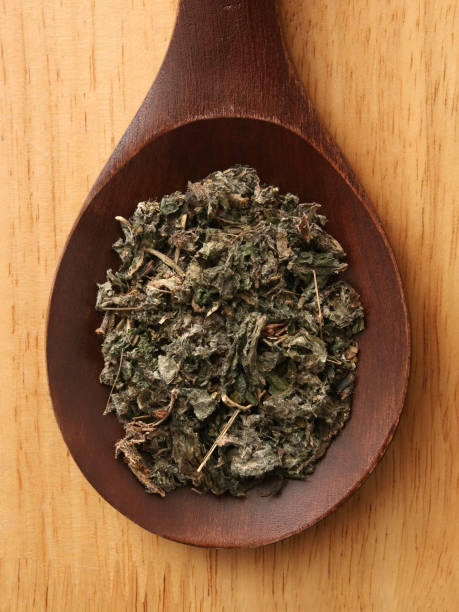 istock Dried and chopped burdock leaves 1436651065