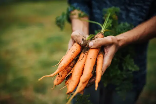 Photo of Dirty hands, clean soul