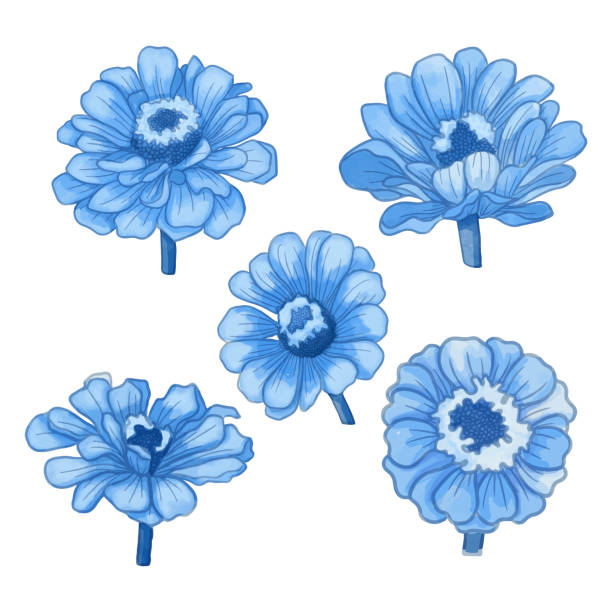 istock Set of Watercolor flower, Blue flora clipart 1436653622