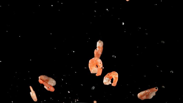 A pile of fresh shrimp soars up and falls. Filmed is slow motion 1000 fps.