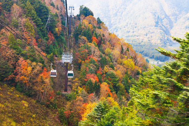 istock Mountain scenery with autumn leaves seen from Mt. Nikko-Shirane 1436657632