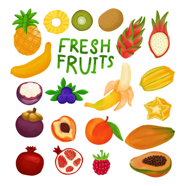 Set of Watercolor Fresh fruits clipart Set of Watercolor Fresh fruits clipart. chrysophyllum cainito stock illustrations