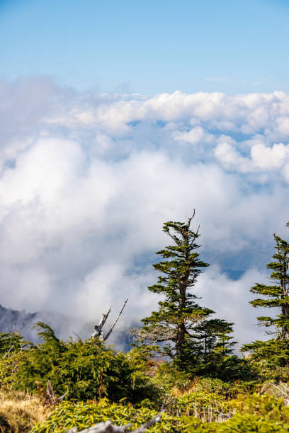 istock Mountain scenery with autumn leaves seen from Mt. Nikko-Shirane 1436657942