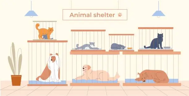 Vector illustration of Animal shelter with pets in cages. Cartoon dogs and cats sheltered. Funny fluffy kitten, dog sleep. Volunteering and adoption kicky vector concept
