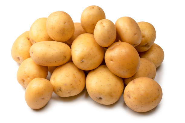 istock A group of fresh tasty potato isolated on white background. 1436659616