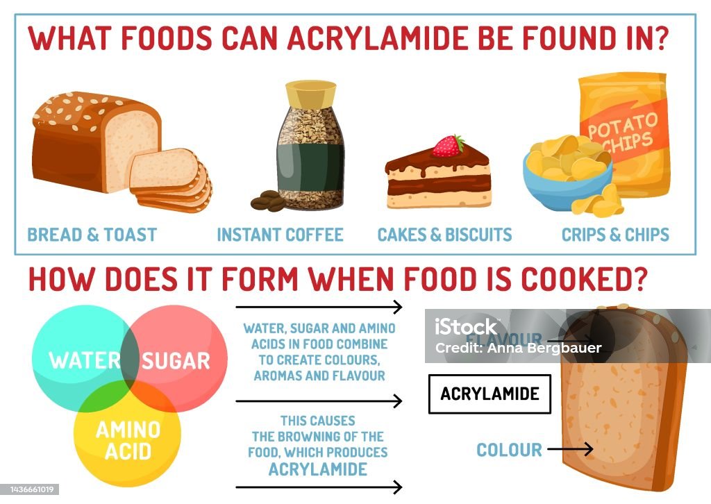 What Foods Can Acrylamide Be Found In Vector Infographic Stock selena-gomez-s-lupus-meds-make-her-gain-weight-so-what-los-angeles