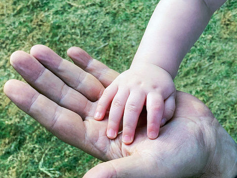 Detail of baby hand in adult male palm. Grandpa and grandchild holding hands. Taken on mobile device (iPhone 11)
