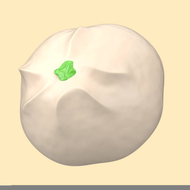 istock 3d rendering of bakpao icon isolated on cleare background. 1436670114