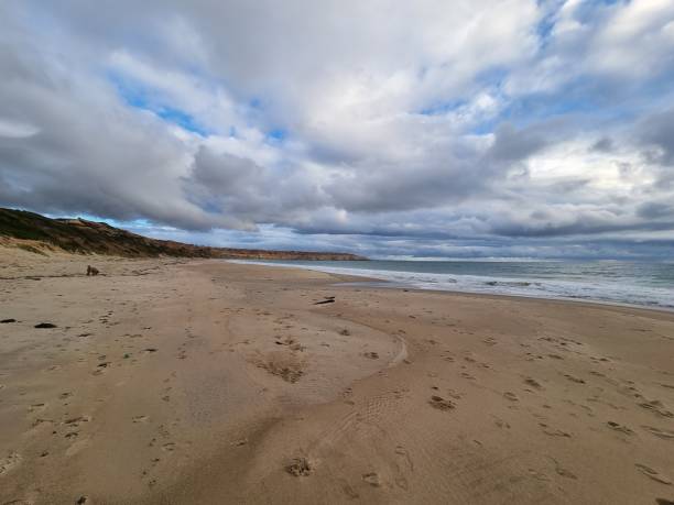 istock Scenic sandy beach marked with dog pawn prints and approaching foamy waves 1436672158