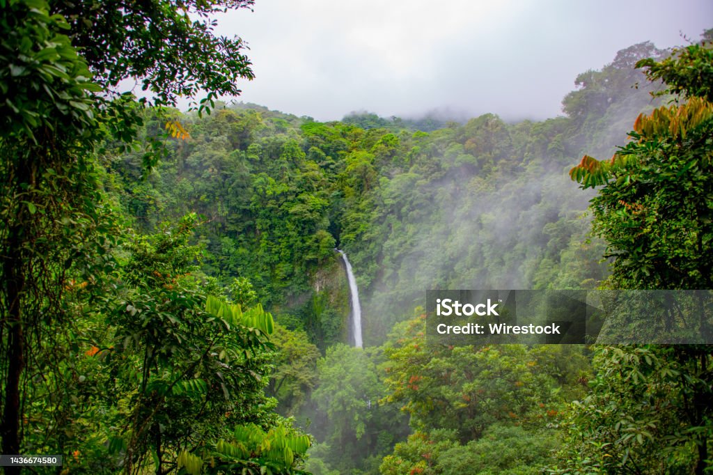 Mesmerizing view of a waterfall with trees in Manuel Antonio National Park, Quepos, Costa Rica A mesmerizing view of a waterfall with trees in Manuel Antonio National Park, Quepos, Costa Rica Beauty Stock Photo