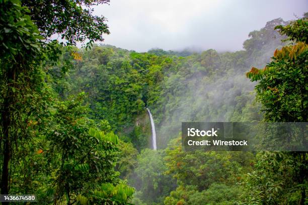 Mesmerizing View Of A Waterfall With Trees In Manuel Antonio National Park Quepos Costa Rica Stock Photo - Download Image Now
