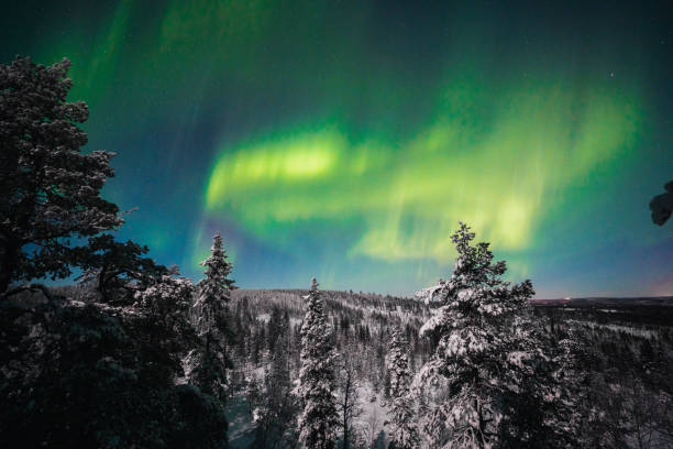 森の上のオーロラ - aurora borealis aurora polaris lapland finland ストックフォトと画像