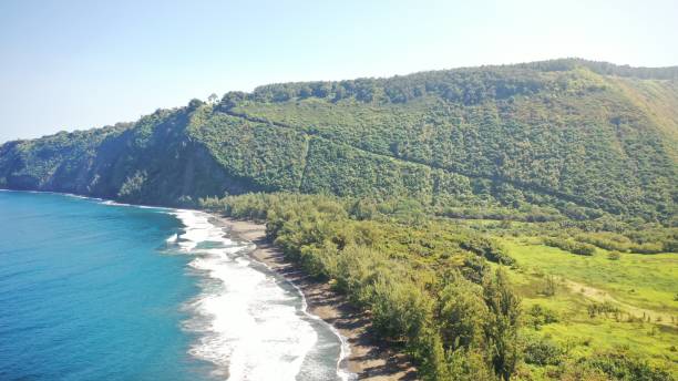 istock Ocean waves foaming on the sandy beach with dense trees on the mountain in Waipio Valley, Hawaii 1436675308