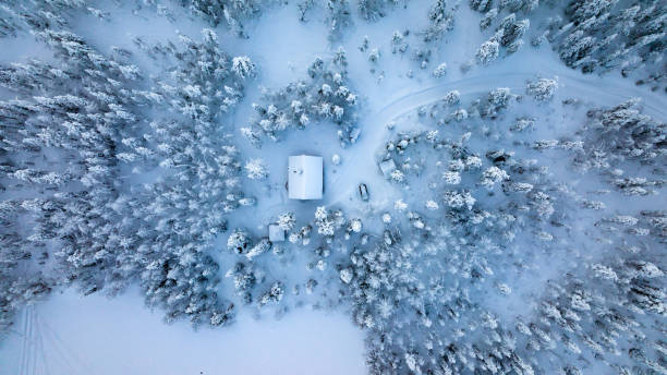cabaña en medio de árboles nevados, en la nublada laponia 01 - cabin snow finland lapland fotografías e imágenes de stock