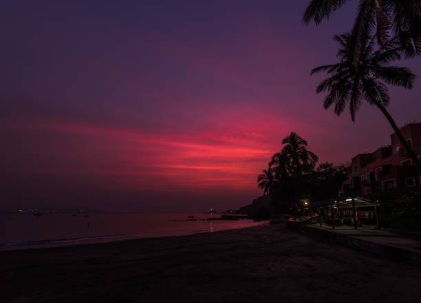 istock Beautiful night landscape in a tropical area 1436676619