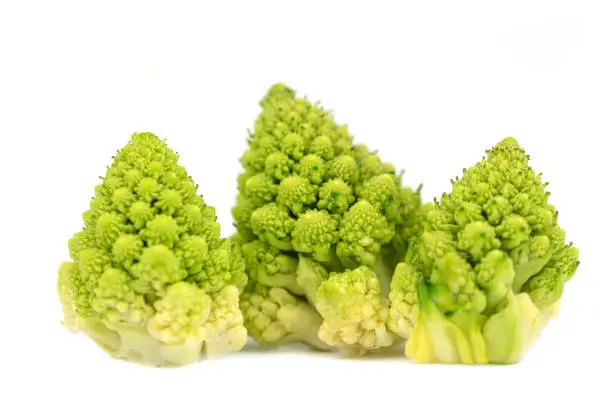 Photo of Fresh Green Broccoflower - Romanesco broccoli, cauliflower