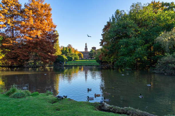 vista del parco sempione, el parque más grande de milán durante el otoño - foilage fotografías e imágenes de stock