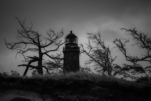 A grayscale view of a lighthouse surrounded by dry trees under a cloudy sky