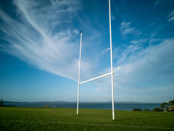 istock rugby field gate on green grass 1436679051