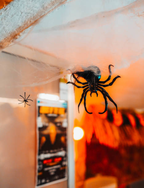 istock Decoration tarantula spider for halloween 1436679274