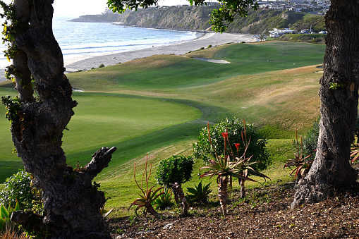 A scenic view of a golf course next to Monarch beach