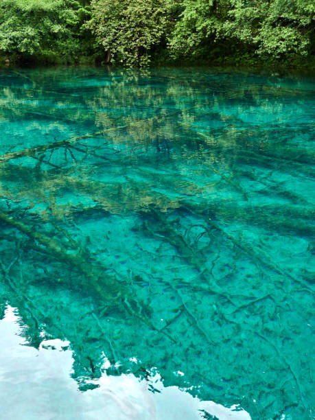 istock Calm lake with the reflection of green trees in it 1436680394