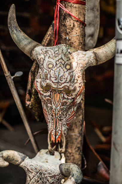 istock Vertical close-up of carved bull skull 1436680562