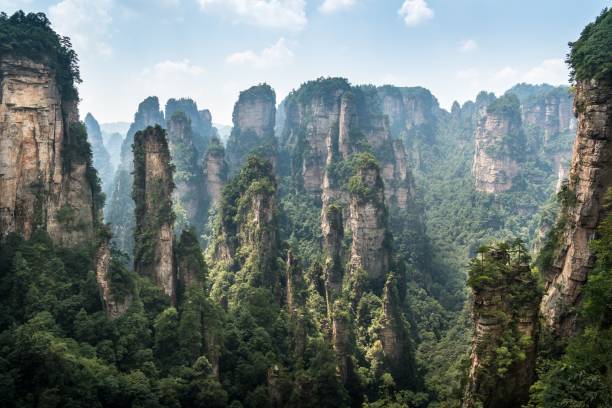 Natural scenery of Zhangjiajie national forest park, a world natural heritage site The Natural scenery of Zhangjiajie national forest park, a world natural heritage site zhangjiajie stock pictures, royalty-free photos & images