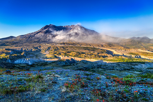 A scenic view of Mt St Helens in the early morning with beautiful vegetation and warm blue sky