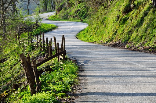 A narrow winding asphalt road on the green hill on a sunny day in spring