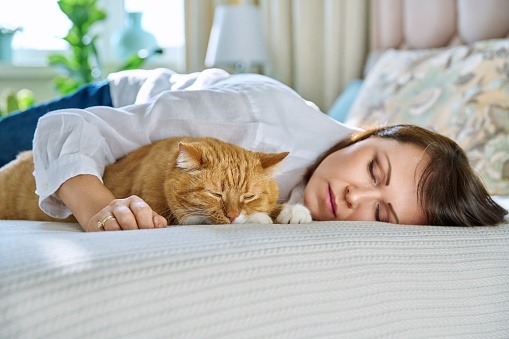 Middle aged woman sleeping with big ginger cat on bed. Mature female owner of old red pet resting with her domestic animal together. Friendship love care comfort home tranquility, pets, people concept