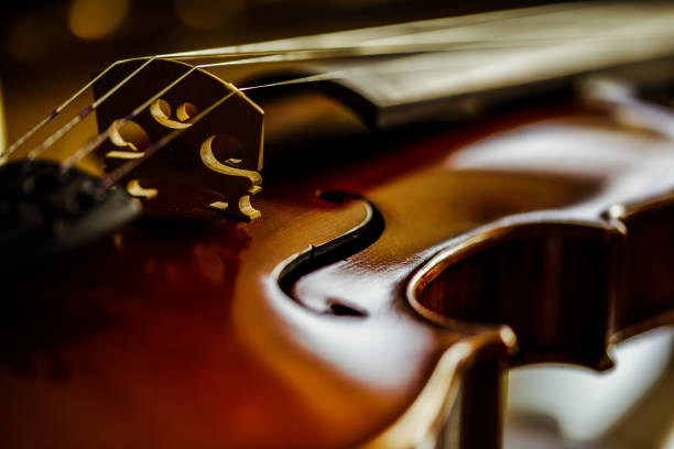 istock Closeup shot of a violin 1436682809
