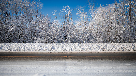 A landscape view of a winter road and snow-covered trees