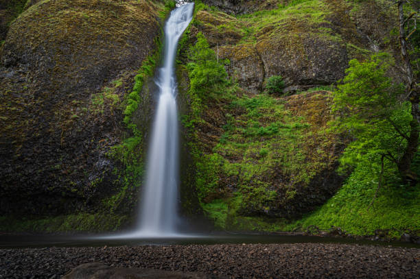istock Beautiful Horsetail falls in Oregon, USA 1436682987