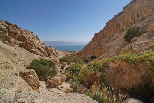 View of the rocks and the Dead Sea in the background in Ein Gedi, Israel