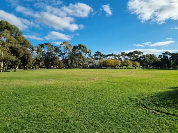 istock Grassland with green trees captured on a bright sunny day 1436684757